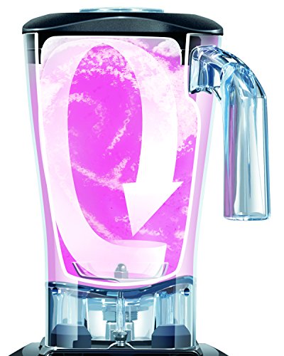 Hamilton Beach Commercial hbh550 de CE Fury Blender con temporizador, color negro/transparente