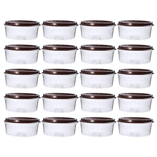 Hemoton Caja de Pastel de Plástico Transparente de 20 Piezas para Portador de Pastel con Tapas de Cúpula Y Tablas de Pastel