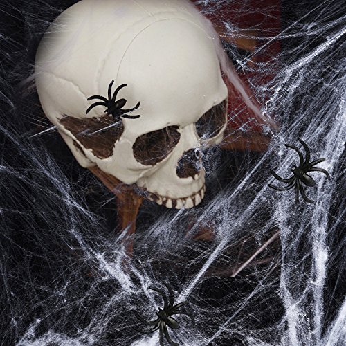 HOTSAN Decoraciones de Halloween de telaraña Estirable: telaraña de araña Espeluznante para Interiores con 25 arañas Falsas, telaraña de araña para Decoraciones de Fiesta de Halloween