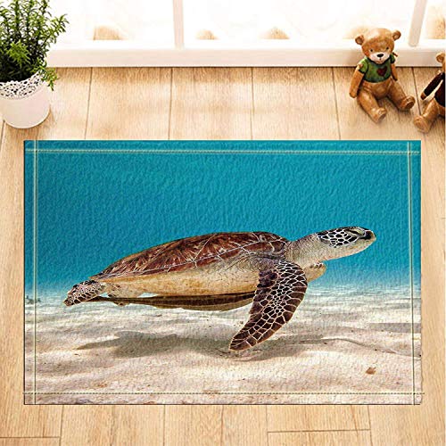 HYTCV Playa de Arena de Color Caqui, mar Azul, caparazón de Tortuga marrón, Vientre Caqui, Patas Marrones Alfombrillas de baño Sala de Estar Dormitorio Alfombra Antideslizante Interior al Aire Libre