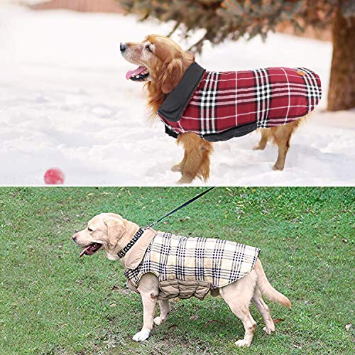 IREENUO Abrigo Perro Chaqueta Perro Invierno Ropa Escoces Acolchado para Perro Pequeño y Mediano