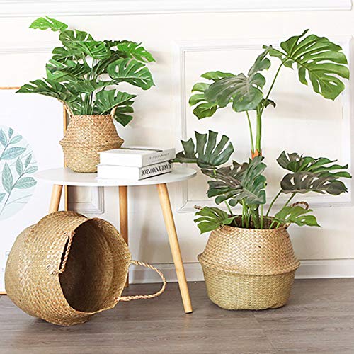 IVAILEX Cesta de Panza de Algas Marinas Naturales, Cesta de Mimbre para Plantas,Cesta de Almacenamiento de Paja, 18cm D x 20cm A
