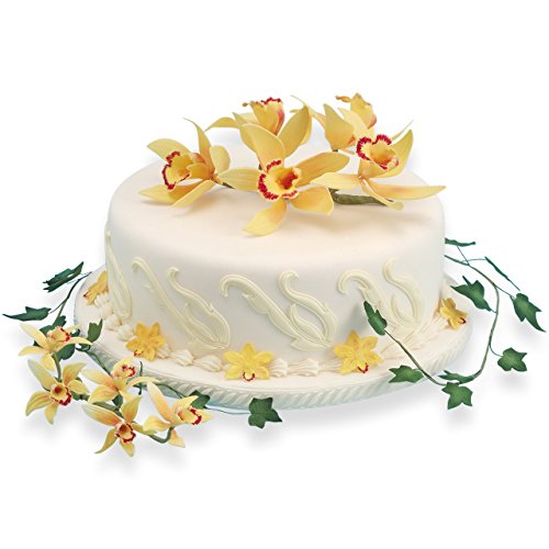 JEM Cortador de Orquídeas Medianas Cymbidium, Juego de 8