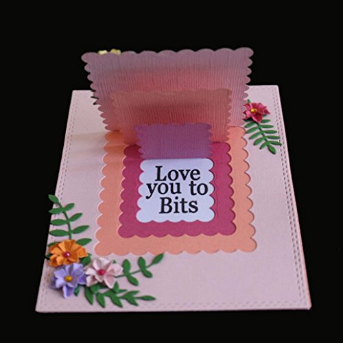 JiaMeng Troqueles Scrapbooking, Troqueles de Corte de Metal de Coraz¨®n de Flor Nueva Rectangular Acero al Carbono Plantillas para de Recortes de Scrapbooking Tarjeta de Papel (N, como se Muestra)