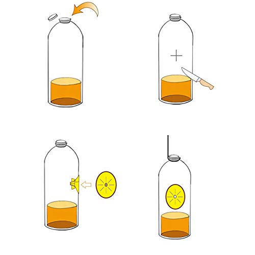 Jixista Trampa para Avispas Trampa de Abejas Trampa de Embudo Amarilla DIY Avispas atrapa Moscas Atrapa Abejas en Forma de Flor Trampa para Moscas de Frutas DIY Reutilizables Control de Plagas 10PCS