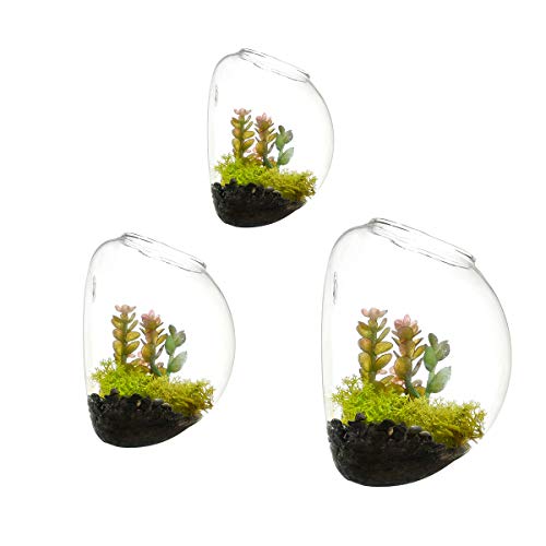 Juego de 3 jarrones de vidrio de pared, terrarios de pared de burbujas, terrarios de vidrio soplado, macetas de interior, soportes para plantas de aire, macetas de pared suculentas (sin plantas)