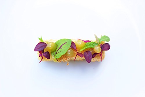 Kit de gastronomía moderna de ingredientes especiales (último kit de gastronomía molecular y cocina modernista)