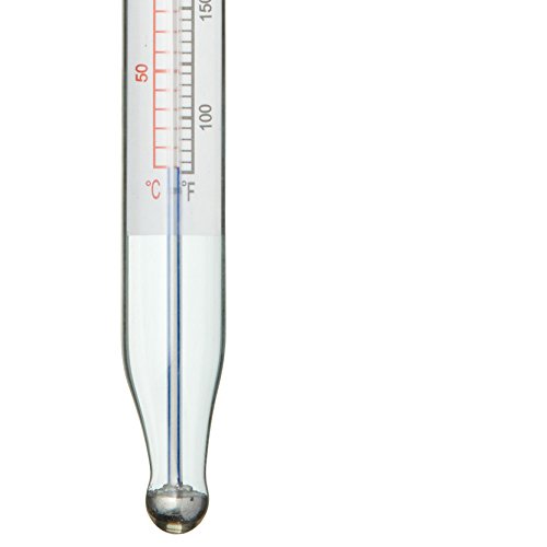 Kitchen Craft Termómetro de Cocina, Cristal, 15 cm
