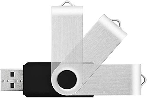 KOOTION Pendrives 2GB 2.0 USB Memorias 2GB 20 Piezas Pen Drive USB 2.0 Flash Drive 2 Gigas Lote Pincho USB Pen Stick Pack de 20 Unidades, Negros