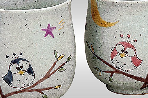 Kutani Pottery – japonés tetera y 2 taza de té japonés Yunomi con búhos K4 – 614 de Japón