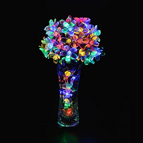 lederTEK Solares Luces de Hadas de Cuerda 6.5m 50 LED Multicolor Flor Decorativos Exterior (50 LED Color Multi-) [Clase de eficiencia energética A++]
