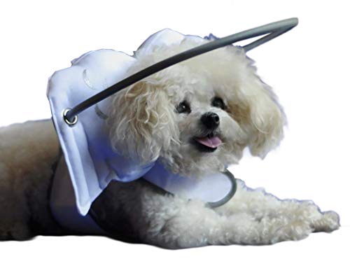Magdalenas de Halo guía para ciegos perros, medio blanco