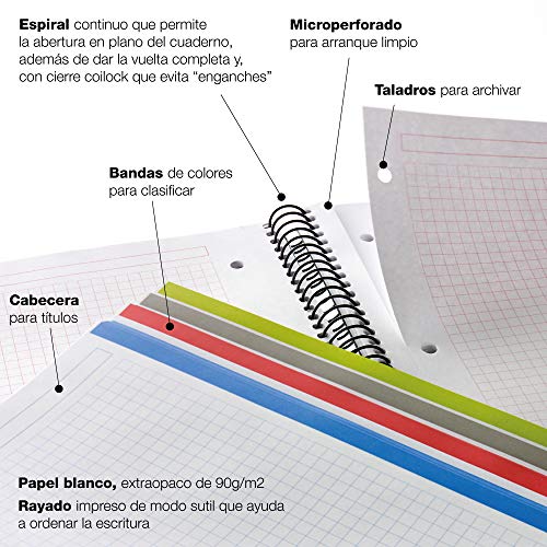MIQUELRIUS 47981 - Cuaderno Espiral A4, tapa dura, 120 Hojas Cuadrícula Interior 4 Colores Hortensia