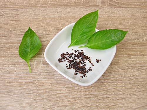 Mr. Brown Bio Semillas de albahaca 500 gr | Semillas de albahaca | sin Gluten | orgánicas | usadas como Semillas de Chia | embotelladas en Baviera