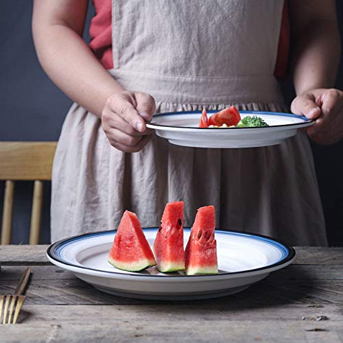 NACEO Platos para Ensalada Plato Plano De Cerámica, 2 Piezas para La Venta Plato De Cocina Y Comedor De 9 Pulgadas, 11 Pulgadas Línea Azul Redonda Platos Simples para Aperitivos, Blanco,9inches