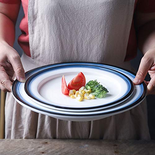 NACEO Platos para Ensalada Plato Plano De Cerámica, 2 Piezas para La Venta Plato De Cocina Y Comedor De 9 Pulgadas, 11 Pulgadas Línea Azul Redonda Platos Simples para Aperitivos, Blanco,9inches