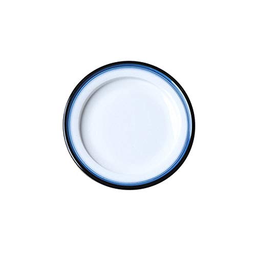 NACEO Platos para Ensalada Plato Plano De Cerámica, 2 Piezas para La Venta Plato De Cocina Y Comedor De 9 Pulgadas, 11 Pulgadas Línea Azul Redonda Platos Simples para Aperitivos, Blanco,9inches