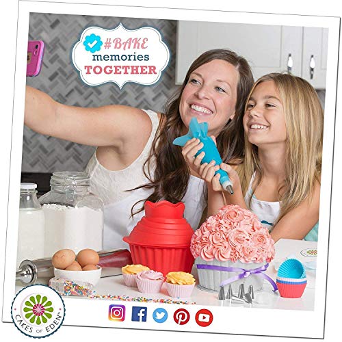 NEXGADGET Boquillas para Manga Pastelera Kits de 62pcs Incluyendo Boquillas Reutilizables de Acero Inoxidable Bolsos de Manga, Raspadores de Pastel, etc. para Decoración de Pasteles
