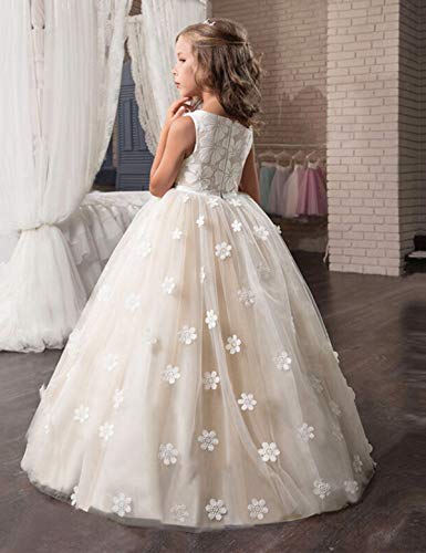 NNJXD Niñas Vestidos de Fiesta sin Mangas Bordados Boda cumpleaños Fiesta Princesa Vestido Tamaño (170) 13-14 años Amarilla