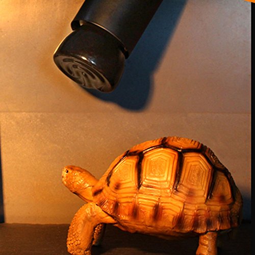 Nomvic Bombilla De Calor Infrarroja De Cerámica Con Emisor Cerámica Del Emisor De Far Lámpara Lámparas De Infrarrojos Para Mascotas Reptiles E27, 100W, Negro
