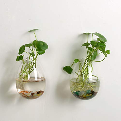 Outgeek Jardinera Colgante de Vidrio, 2 PCS Jarrón de Cristal Decorativo Colgante de Pared Jarrón Florero de Cristal para la Decoración de la Oficina en casa