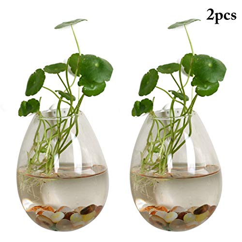Outgeek Jardinera Colgante de Vidrio, 2 PCS Jarrón de Cristal Decorativo Colgante de Pared Jarrón Florero de Cristal para la Decoración de la Oficina en casa
