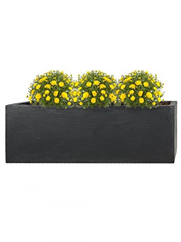 Pflanzwerk® Jardinera Fibra de Vidrio Tub Antracita 17x50x17cm *Maceta a Prueba de heladas* *Protección UV* *Calidad Europeo*