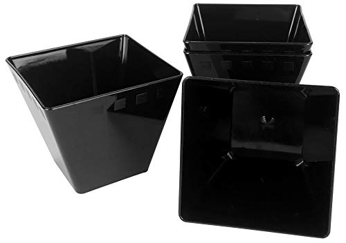 POLOPLAST 50 Vasos Individuales Negros de 58 CC Cuadrados para postres, postres, postres y Alimentos semifríos