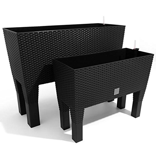 Prosperplast Jardinera Rato con riego 80x33x65 antracitae, Negro