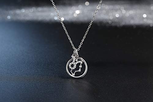 Qings Horoscopo Tauro Colgante Collars Plata de Ley 925 para Mujer Doble Cara Constelaciones Signos Astrológicos Zodiacos