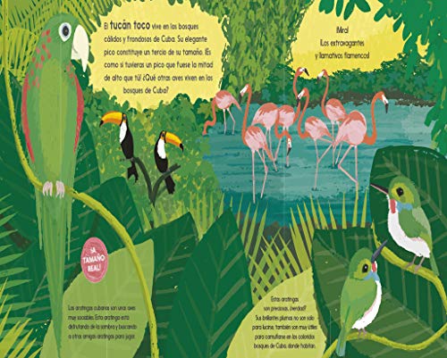 ¡Qué animales!: Descúbrelos a tamaño real (Descubre el mundo y la Historia)