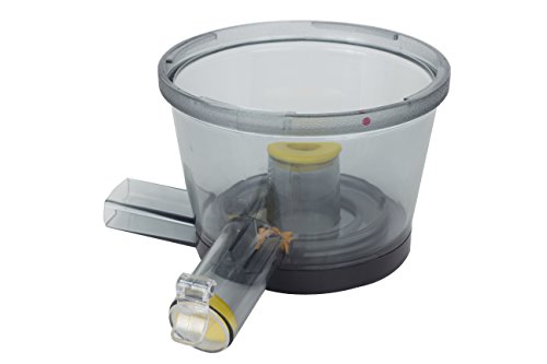 RGV Juice Art Plus - Exprimidor (Exprimidor Lenta, Negro, Acero Inoxidable, 60 RPM, 1 L, 7,5 cm, 150 W)