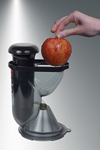 RGV Juice Art Plus - Exprimidor (Exprimidor Lenta, Negro, Acero Inoxidable, 60 RPM, 1 L, 7,5 cm, 150 W)