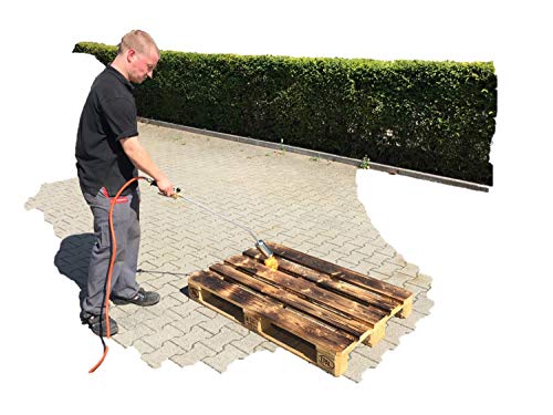 Rothenberger Industrial 030958E Quemador de maleza