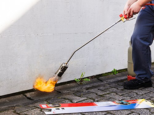 ROTHENBERGER Industrial RoMaxi Premium - Abflammgerät 030957E inkl. 5m Propan Gas Schlauch & Propan Konstantregler, Brenner, Unkraut Vernichter, Dach- und Bitumenbahnen