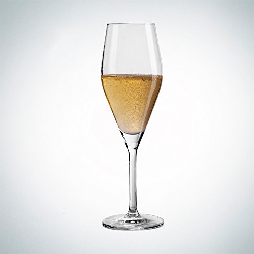 Schott Zwiesel Audience - Juego de Copas para champán (6 Piezas)