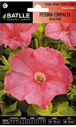 Semillas de Flores - Petunia Compacta rosa puro - Batlle