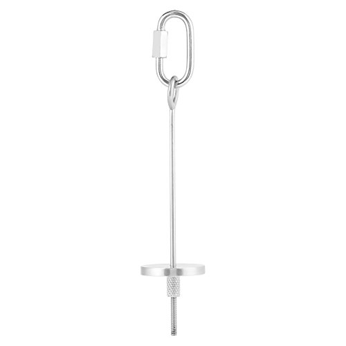 Sheens Alimentador de Aves de Loro de Acero Inoxidable Pincho Alimentador de Juguete Tenedor de palitos de Carne Vegetal Pinzón Canario Columpio Juguetes Jaula Forraje Juguete Herramienta(S)