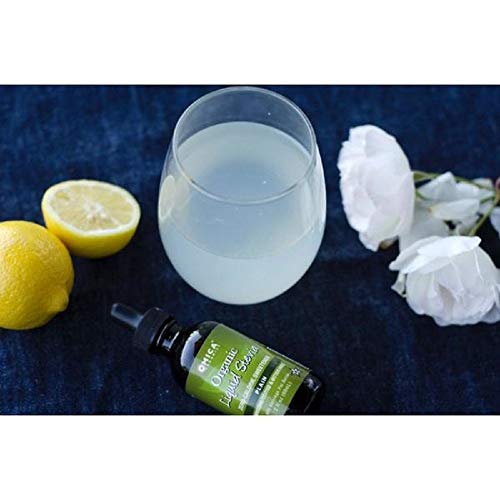 Stevia Organica Liquida Edulcorante (sabor simple)