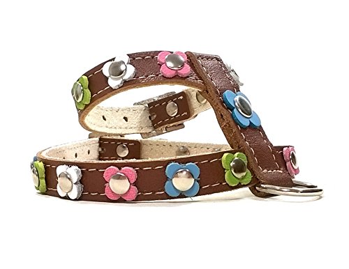 Superpipapo Original Arnés para Perros, Cuero Marrón, Correa Opcional, Hippie Vintage con Bonitas Flores Color Pastel Rosa, Verde, Azul, Blanco, Mediano, M: Cuello 27-32 cm, Pecho 42-47 cm