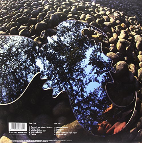 Synkronized (Gatefold sleeve) [180 gm vinyl] [Vinilo]