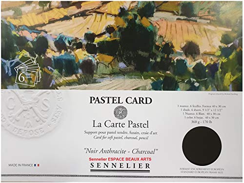 Tarjeta Sennelier Pastel Sec (Papel de lija de grano fino) Bolsa 30x40cm 6 hojas Negro oscuro 360gs