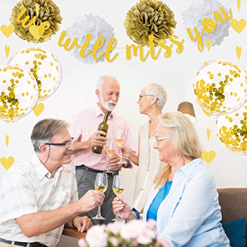 Te echaremos de menos Decoraciones para fiestas: pancarta de despedida para adultos Jubilación Saliendo de decoraciones para fiestas Globos Bobo