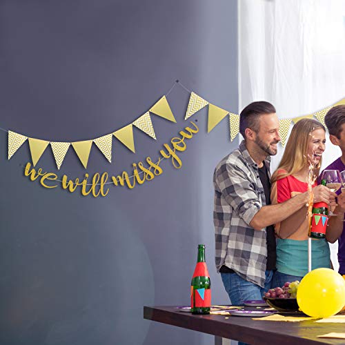 Te extrañaremos Banner Gold Glitter Banner y Triangle Flag Banner para la jubilación Despedida Fiesta de Trabajo de Oficina