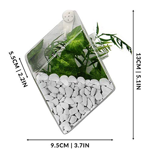 Terrario colgante de cristal en forma de diamante - Juego de 2 | Jardinera de vidrio de pared | Soporte de plantas colgante | 2 ganchos de suspensión invisible | M&W