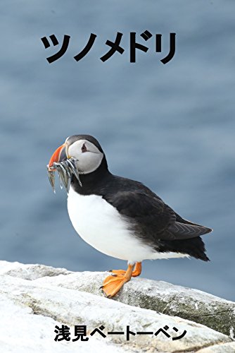 The Puffin for Kids (Beethoven Asami) (Japanese Edition)