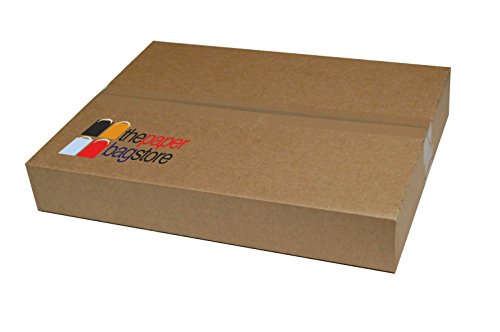 Thepaperbagstore 20 Bolsas De Papel para Fiestas Y Regalos, con Asas Retorcidas - Blanco - 180x220x80mm