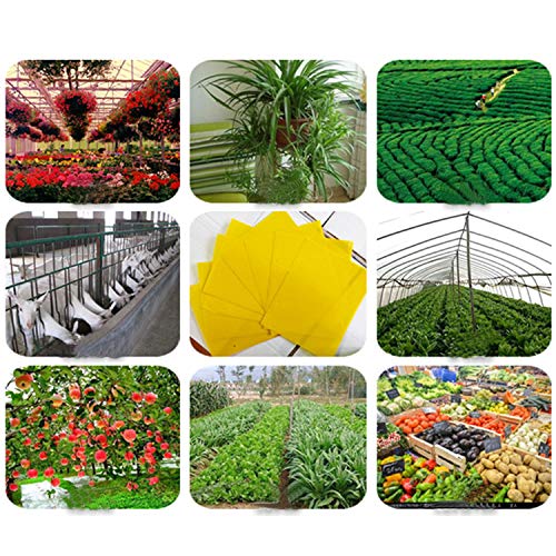 Trampas de insectos de doble cara, 20 Piezas Papeles Pegajosos Amarillos Trampas de Moscas, para moscas, pulgones, mineros de hojas, polillas. Ideal para Proteger de Huertos y Plantas Ornamentales