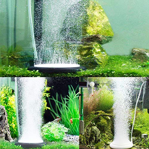 Tubo Pvc,Tubo de Silicona Transparente, Tubo Flexible de PVC Transparente,10 mm (Diámetro Interior) x 12 mm (Diámetro Exterior), para Transferencia de Líquido y Gas,2 Metro de Longitud.