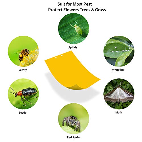 Ulikey 30 Pcs Trampas de Insectos de Doble Cara, Trampas Adhesivas de Doble Cara, Amarillo de Doble Cara, 20 x 25 cm, para Moscas, Polillas, Piojos, Áfidos etc